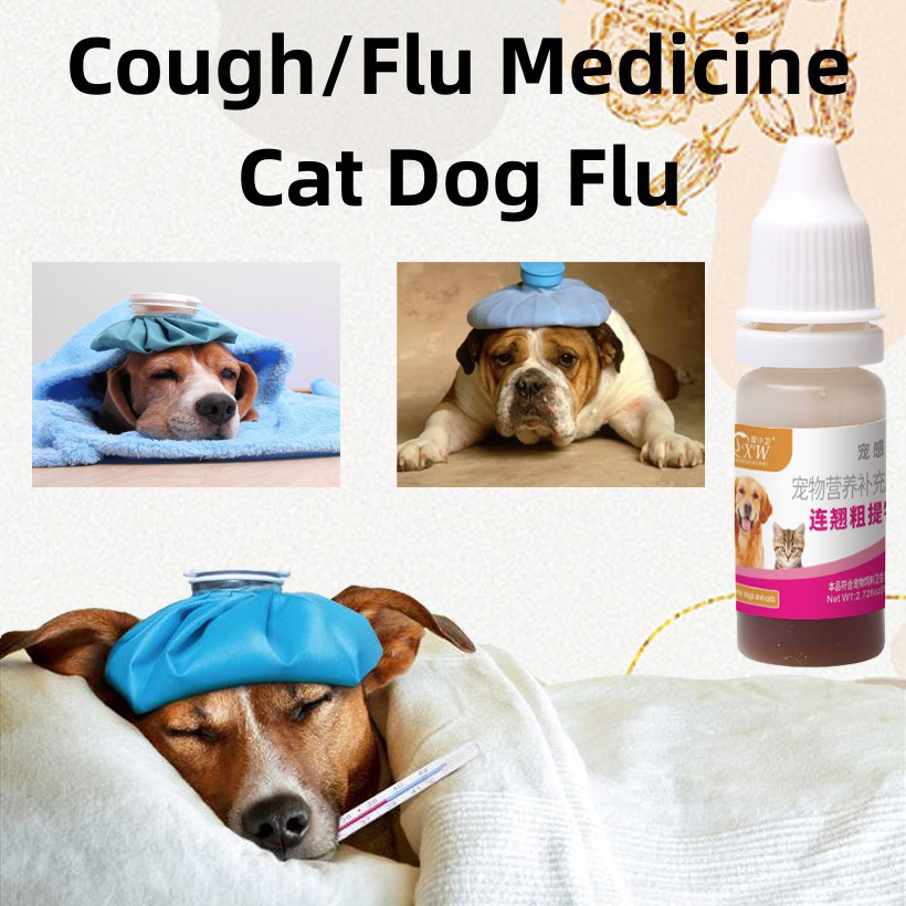 Cough Medicine For Dogs Cats Cold Medicine For Cats Dogs Anti Flu Cold