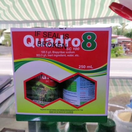 Quadro 8 store