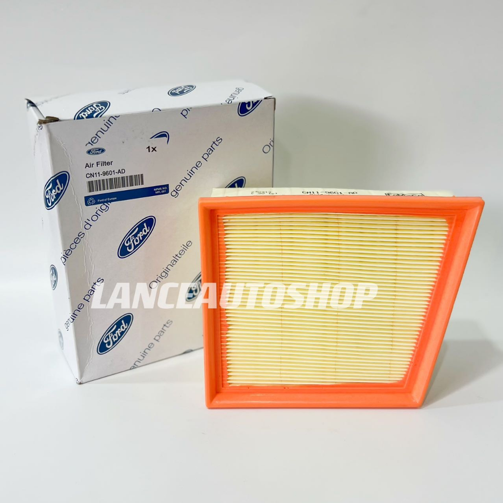 Air Filter Ford Ecosport 20142018 / Fiesta 20112020 CN119601AD