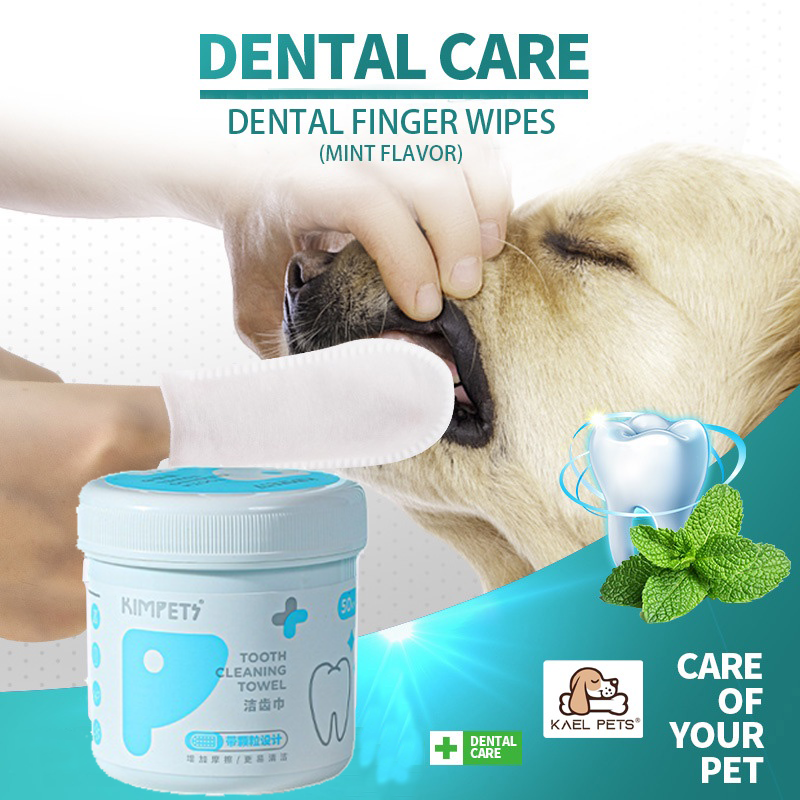 Dental wipes hotsell for dogs