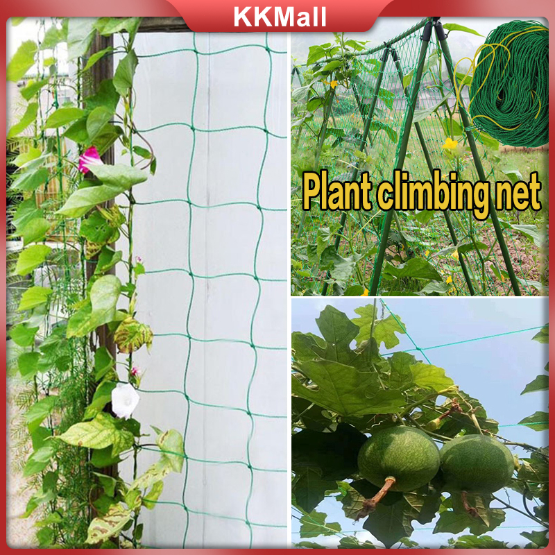 Garden Plant Climbing Net Vegetables Melon Cucumber Sponge Gourd Bean ...