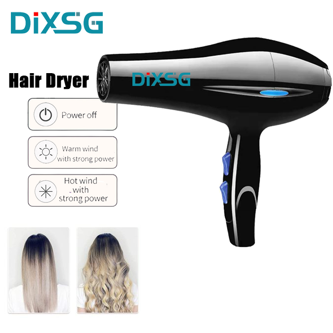 Dixsg Blower Hair Dryer Professional Hairdressing Hair Dryer Quick Blow ...
