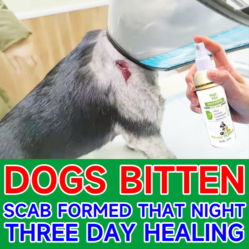 Pet Wound Spray for Dogs and Cats Antifungal Dogs Cats Skin Disease