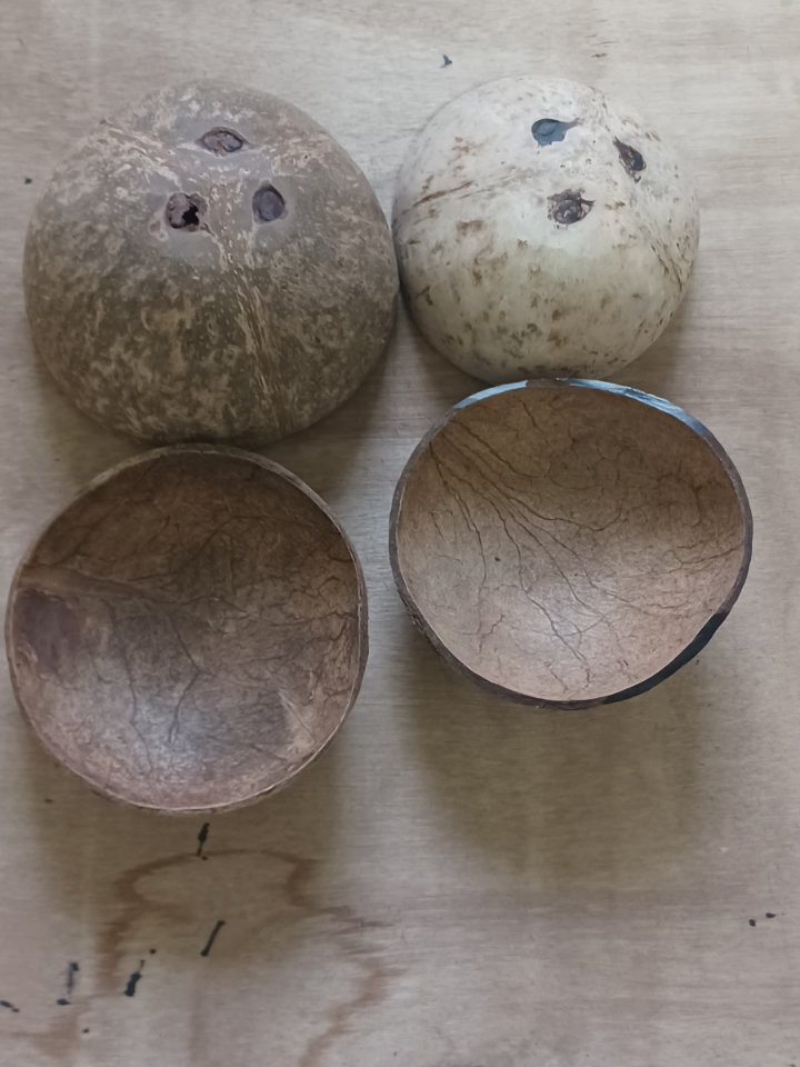 Fully Polished Coconut Shell Sanded Inside Out Bao Ng Niyog Non