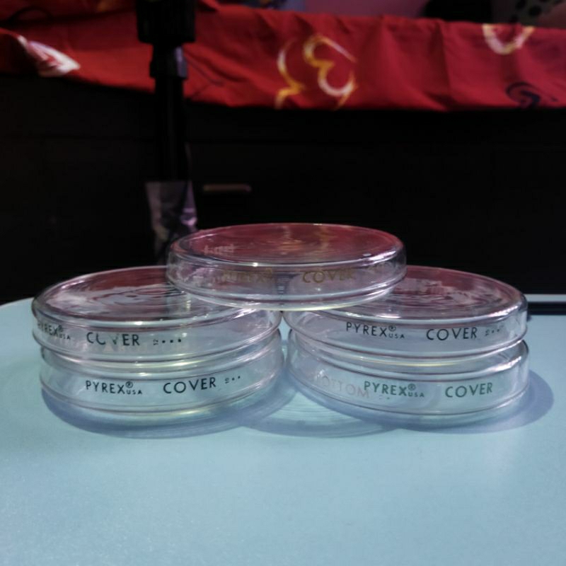 buy-educational-plastic-petri-dish-petri-plates-tissue-culture-plate