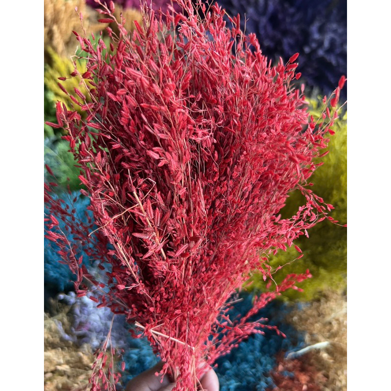 Dried Local Misty [per bunlde] | Shopee Philippines