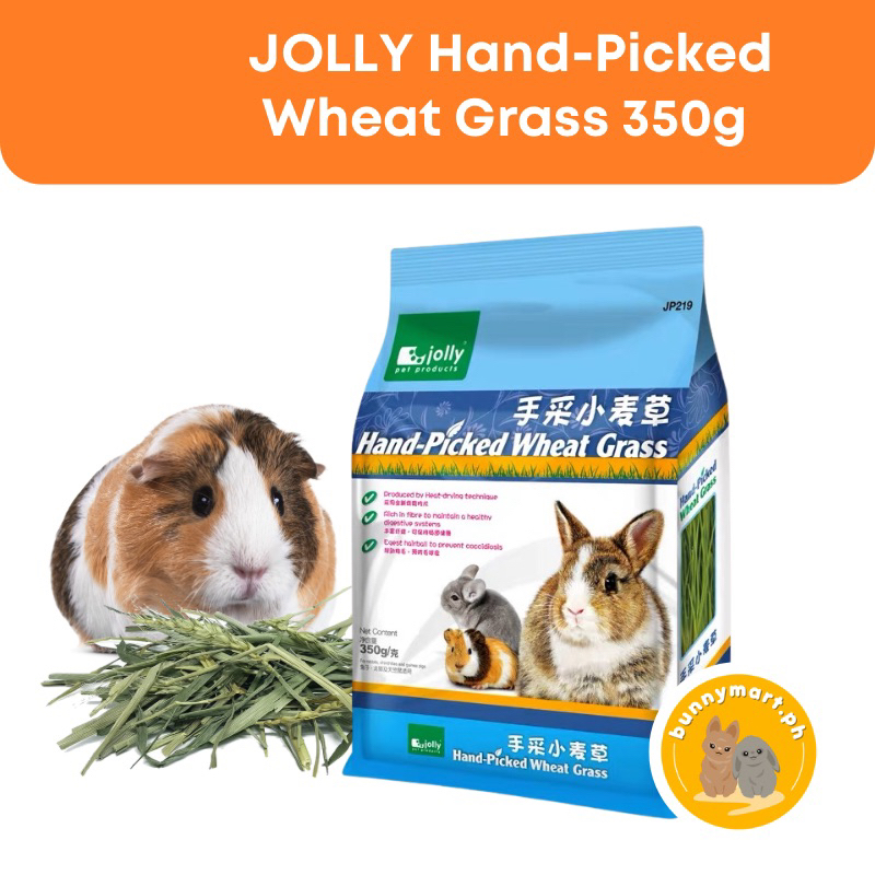JOLLY HANDPICKED WHEAT GRASS/HAY for Rabbits & Guinea Pigs Shopee