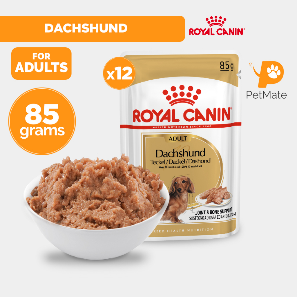 Royal Canin BHN Dachshund Adult Wet Dog Food Pouch 85g Bundle of 12 PetMate Shopee Philippines