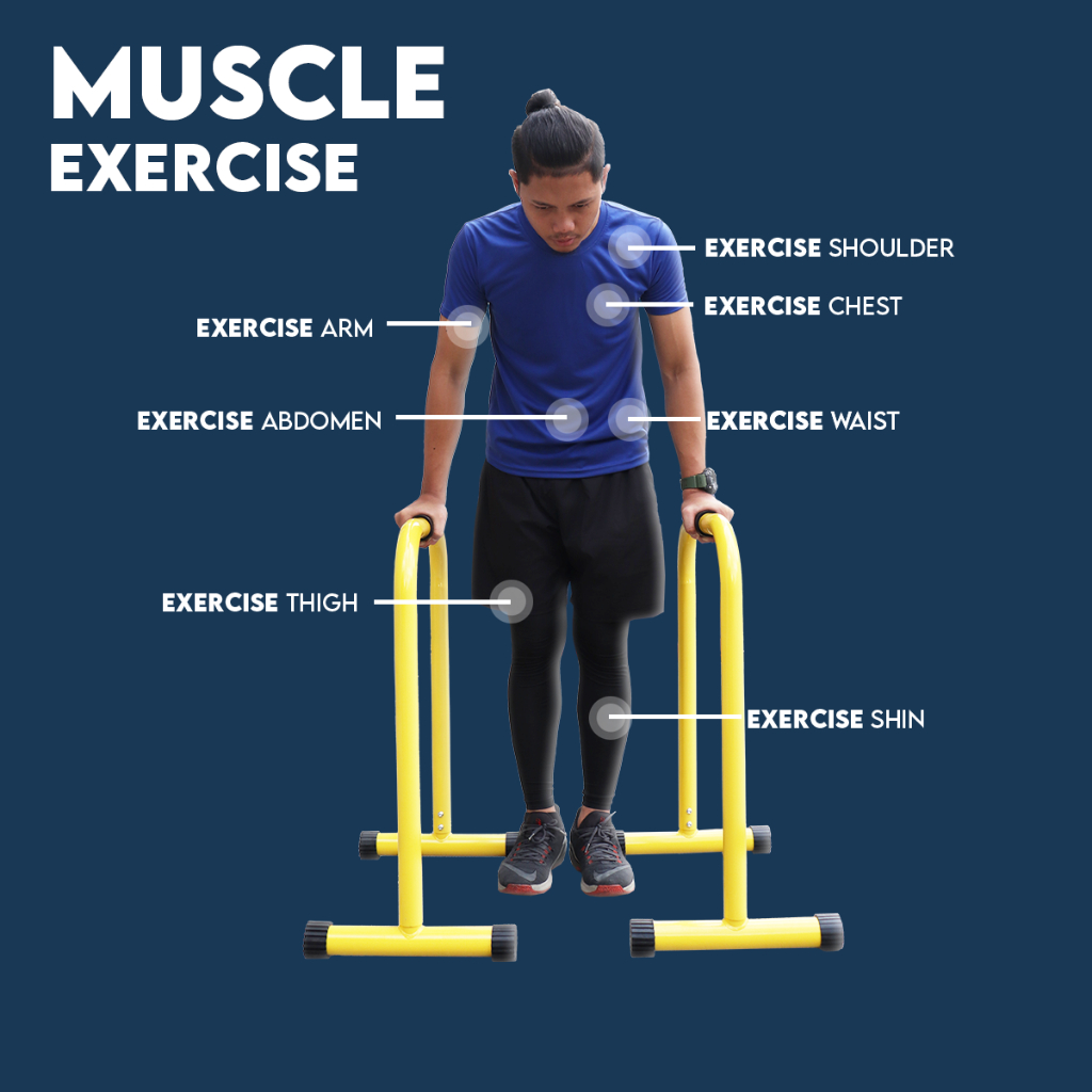 Parallel bars Split Bars Bar Split Push up extension trainer Muscle Up ...
