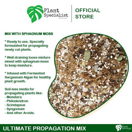 Ultimate Propagation Mix ( Mixed with enhanced rooting Sphagnum Moss ) / for indoor plants