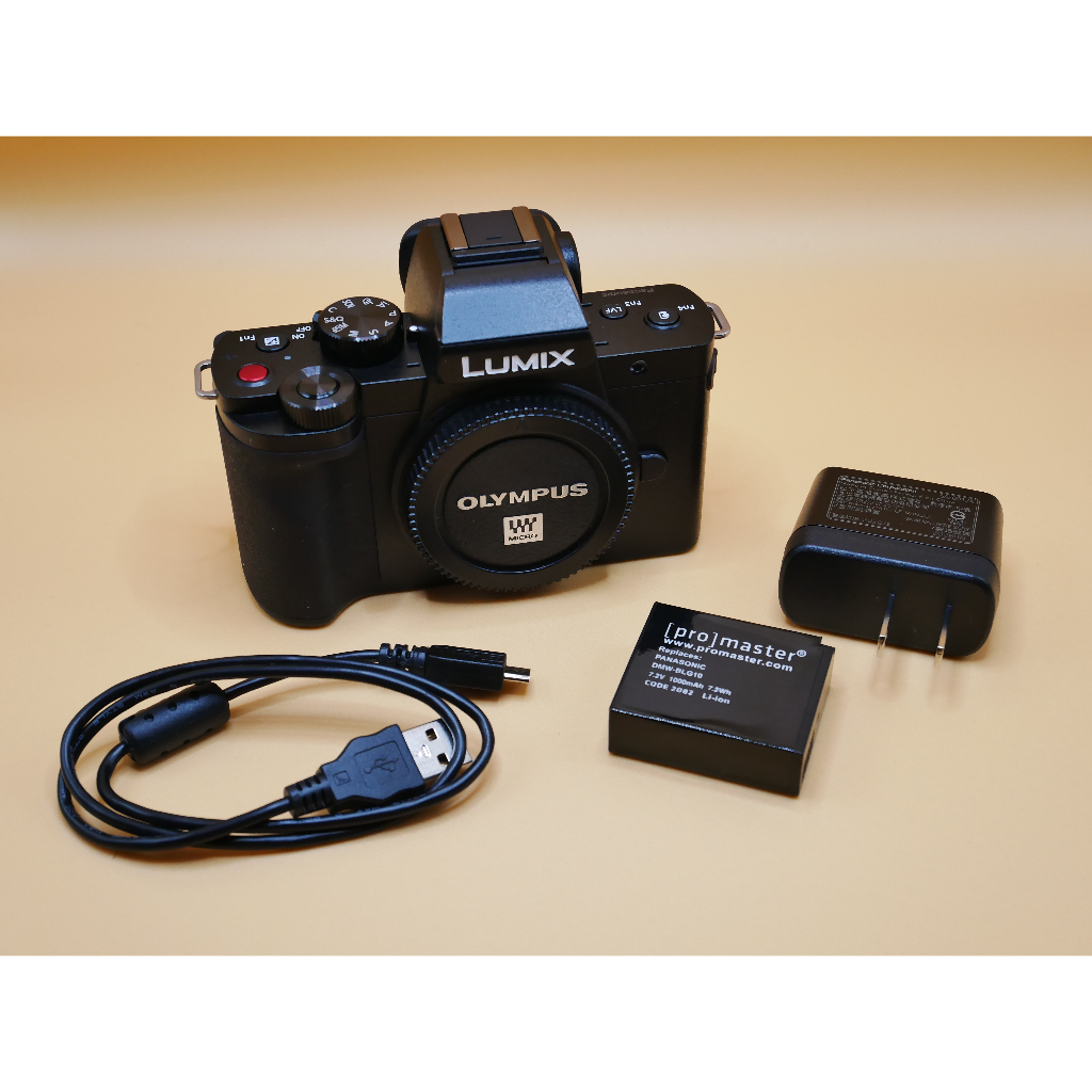 Panasonic Lumix G100 Mirrorless Vlogging Camera Shopee Philippines