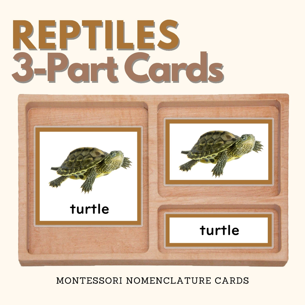 REPTILES Three Part Cards Montessori Nomenclature 3-Part Classified