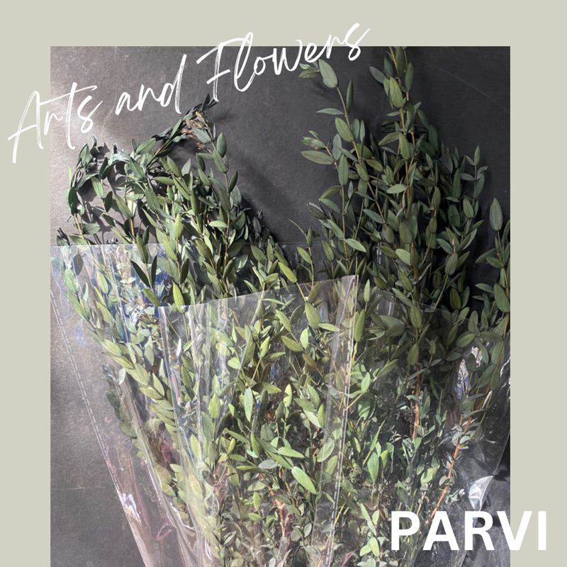 Dried parvi dried flowers preserved (bundle ) | Shopee Philippines