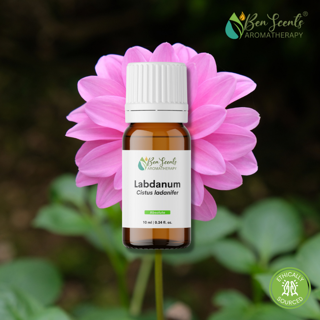 Labdanum Absolute Oil Natural Perfume Fixative Shopee Philippines