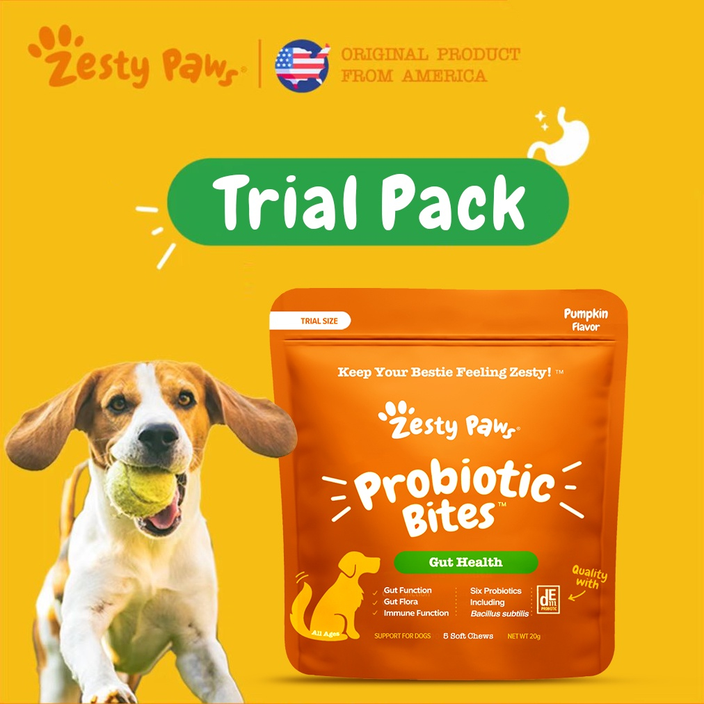 Zesty Paws Probiotic Bites for Dogs Gut Health [Pumpkin Flavor] (5 Soft Chews) Trial Pack