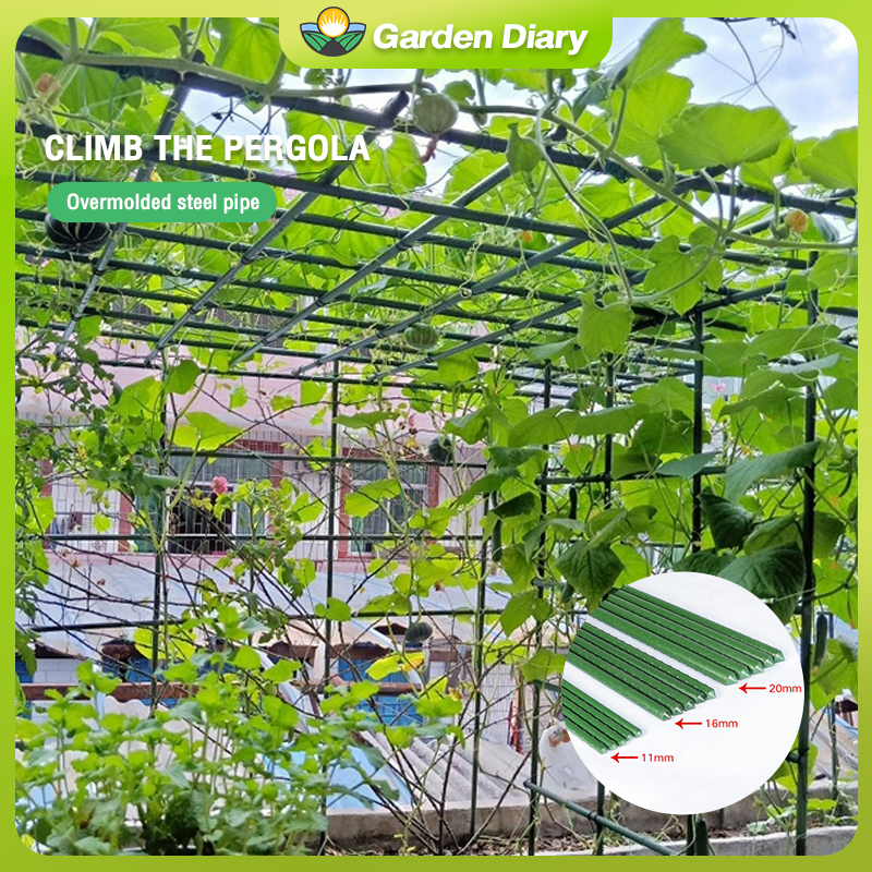 Horticultural bracket 3pcs plant planting growth support rod length 60 ...