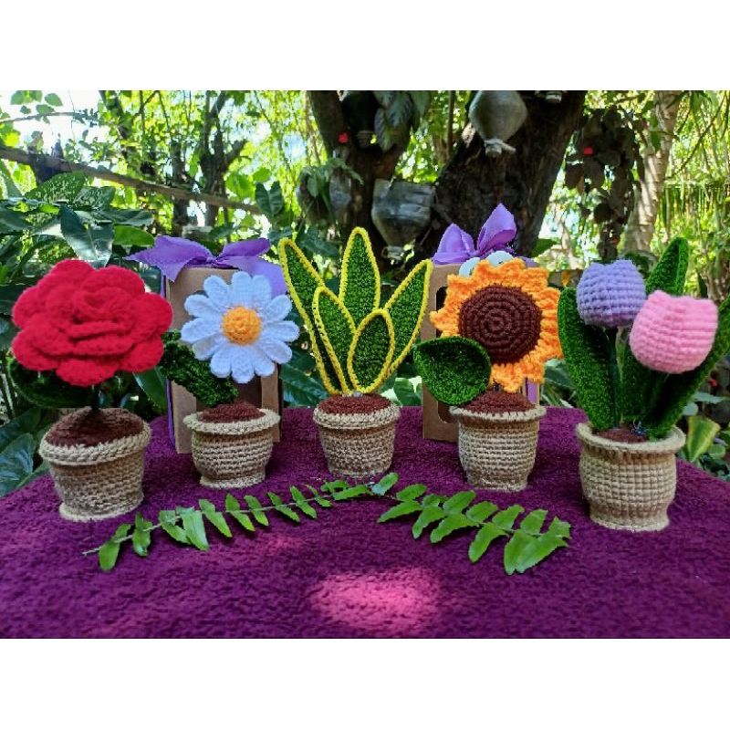 POTTED FLOWERS AND PLANT FOR MOTHER'S DAY Shopee Philippines