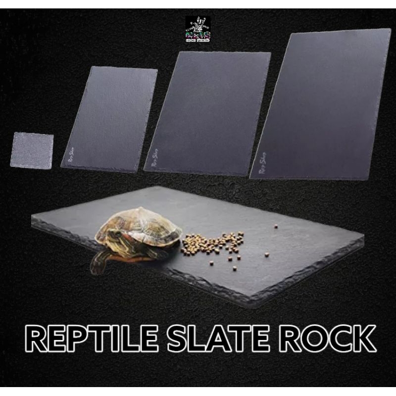 Slate rock, feeding rock for reptiles | Shopee Philippines
