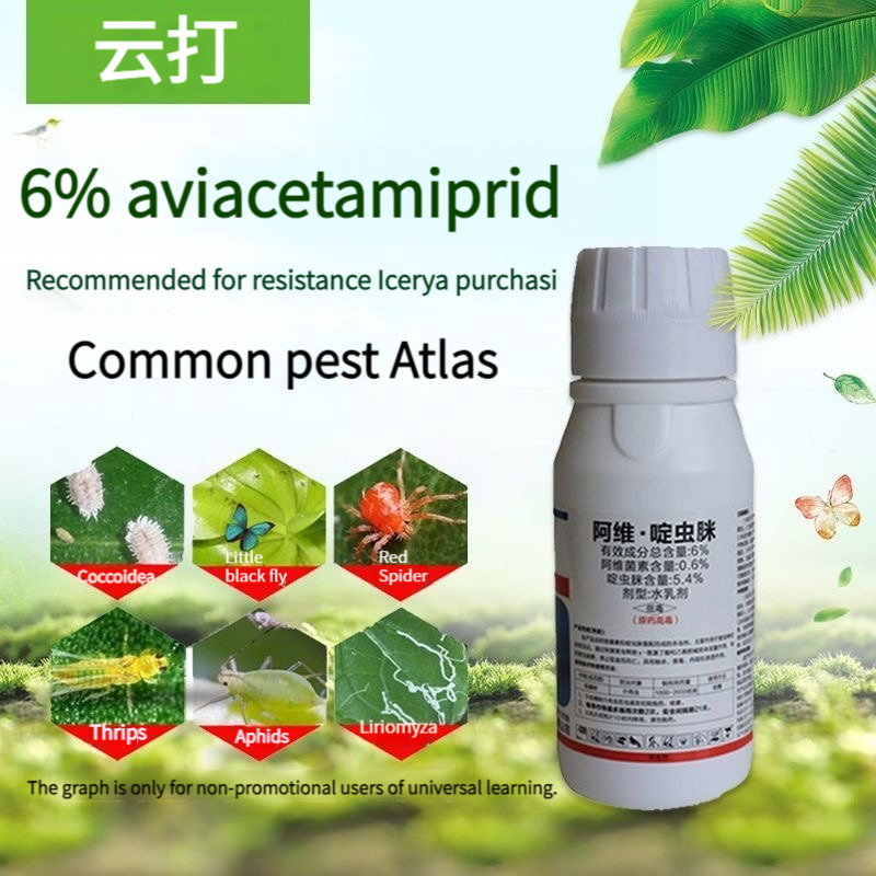 ph stock aviopicrin insecticide mealybugs special medicine succulent orchids plant insecticide