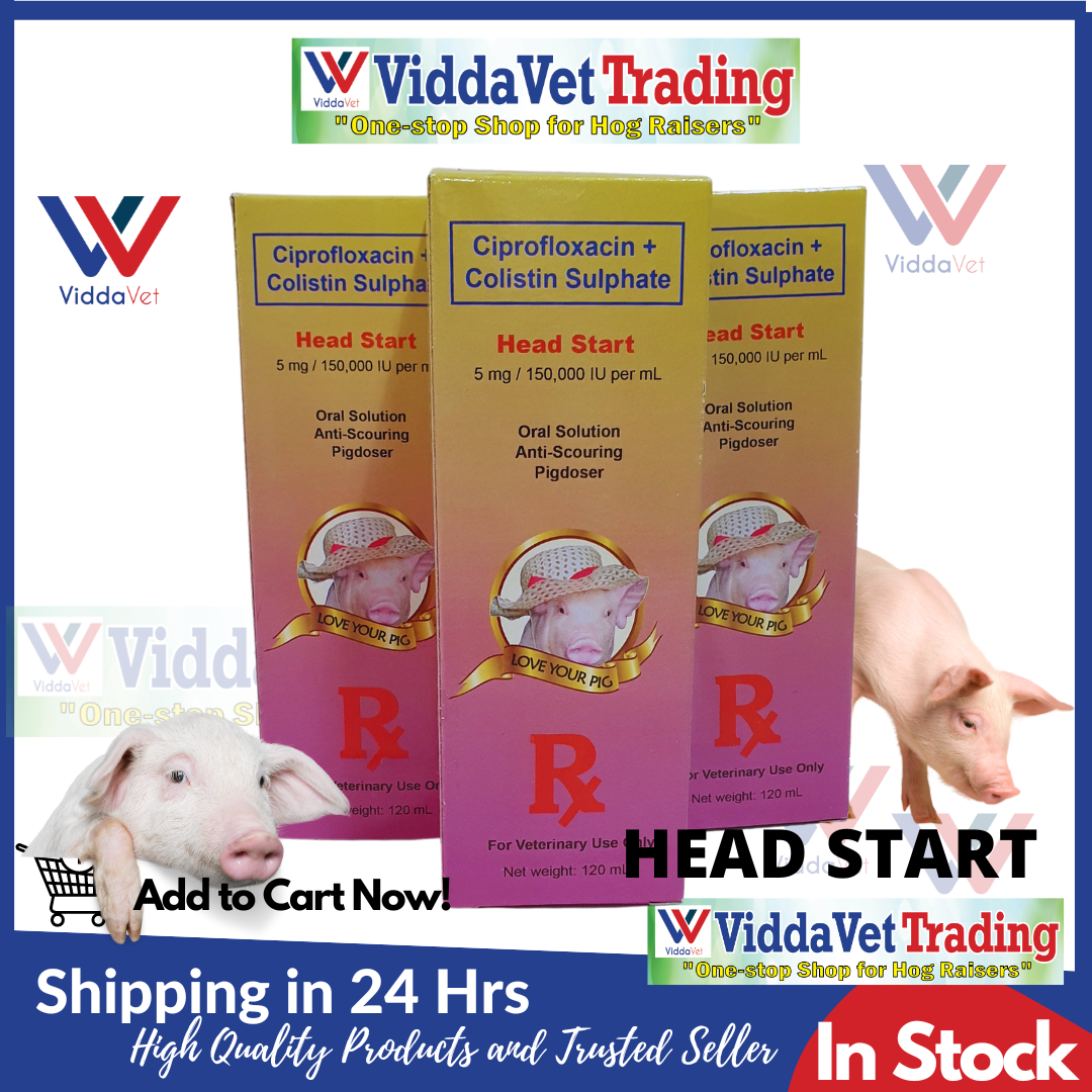 Head Start oral solution pig doser anti-scouring 120ml for piglets ...