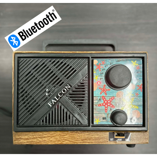 Falcon AM/FM with BLUETOOTH Radio AC/DC Locally Made | Shopee Philippines