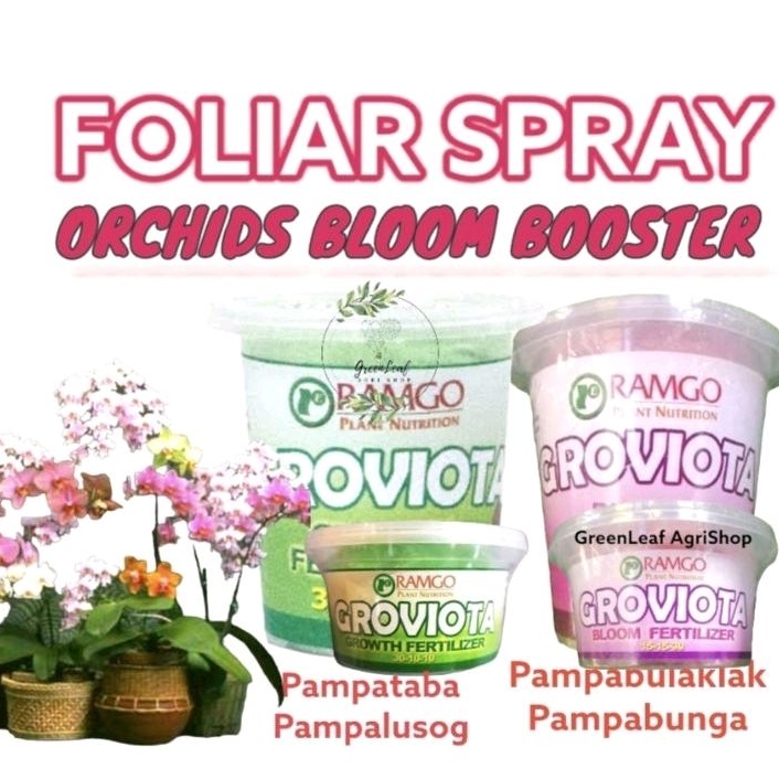 Ramgo Groviota Bloom Booster "PAMPABULAKLAK" PAMPALAGO PAMPATABA BEST