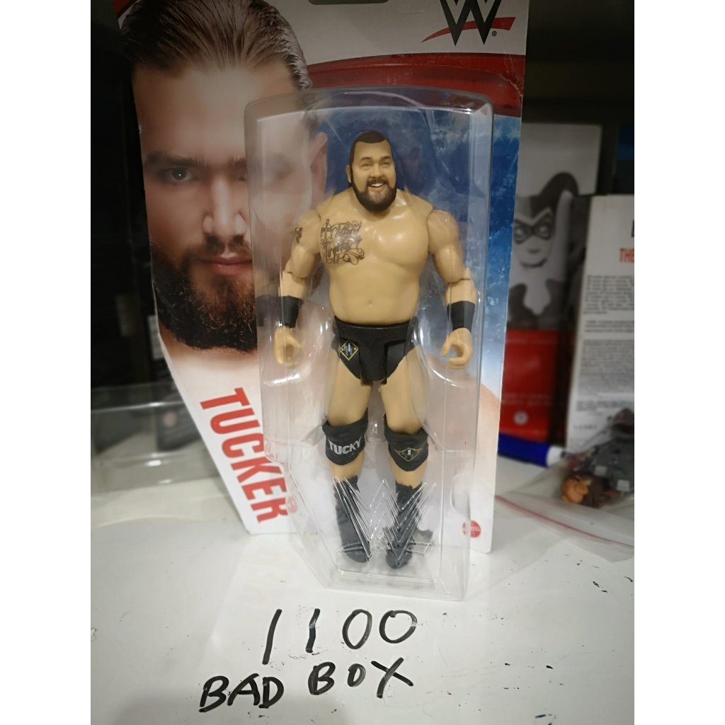 mattel wwe basic tucker figure bad card | Shopee Philippines