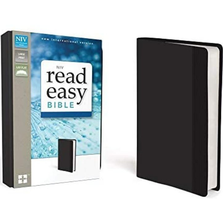 easy read niv bible