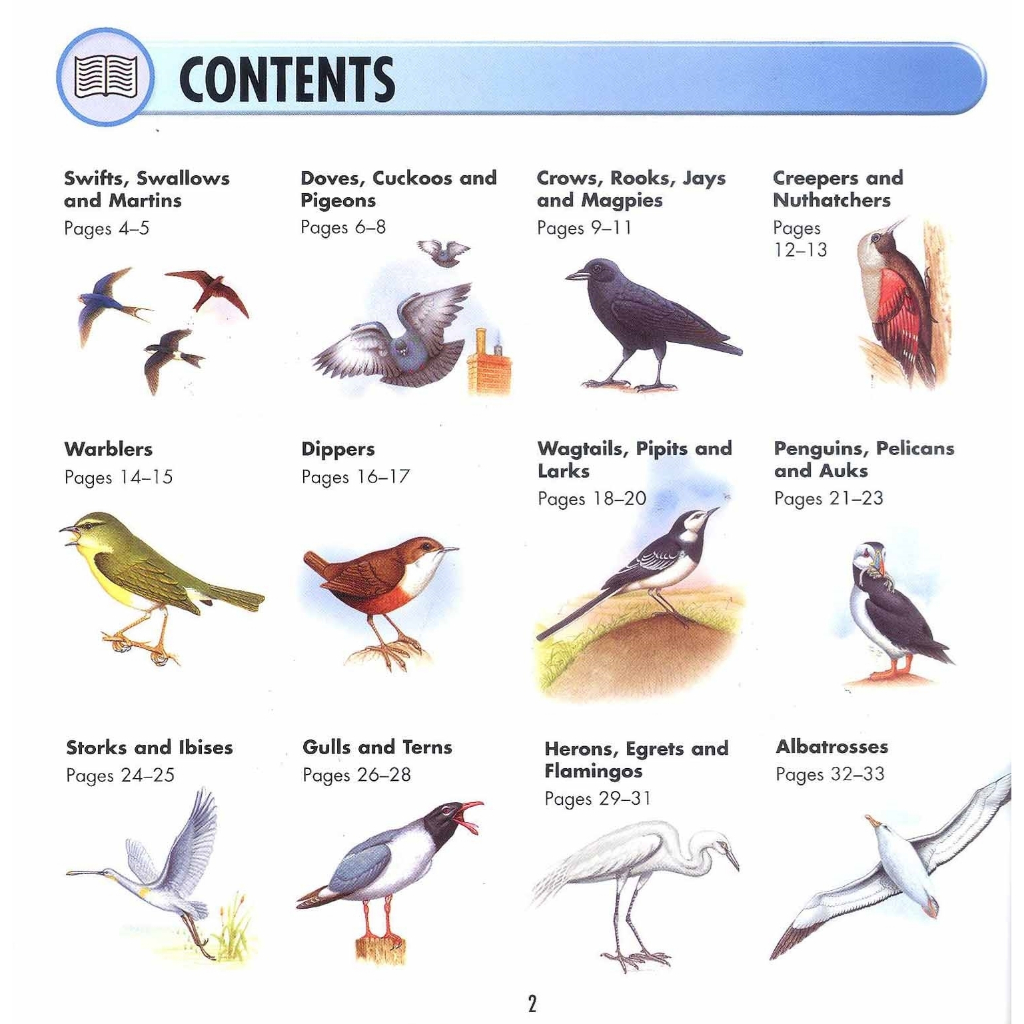FOCUS ON SET OF 6 (BIRDS, BUTTERFLIES, FLIGHT,ANIMALS, INVENTIONS ...