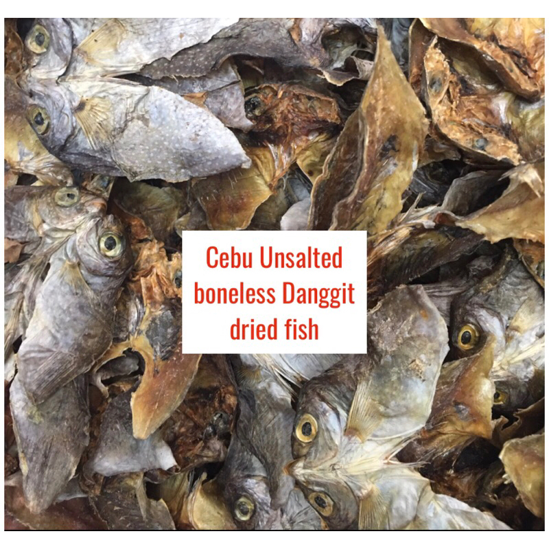 Unsalted boneless Danggit dried fish 100g Shopee Philippines