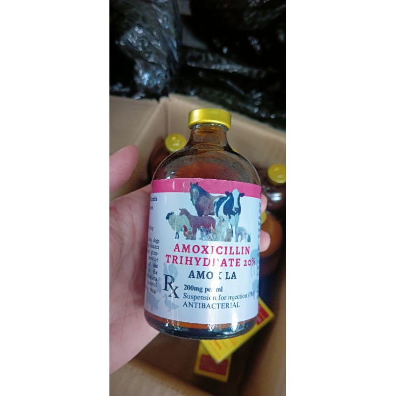 AMOXICILLIN LA ANTIBACTERIAL FOR ANIMALS | 100 ML | | Shopee Philippines