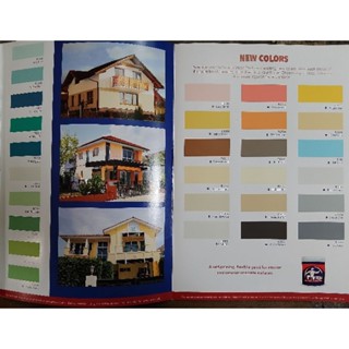 TITAN ELASTOMERIC PAINT PINTURANG WALANG AMOY WATERBASED PANGCEMENTO ...