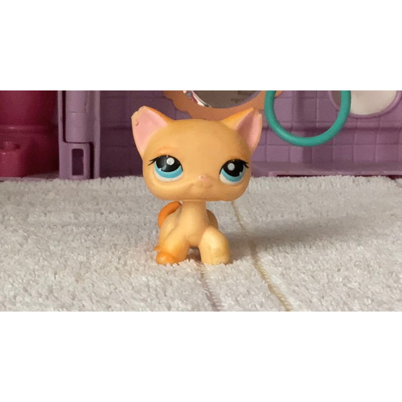 LPS Littlest Hasbro for sale!! Shopee Philippines