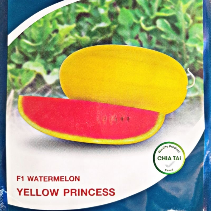 YELLOW PRINCESS F1 HYBRID WATERMELON SEEDS (10 GRAMS) by CHIA TAI ...