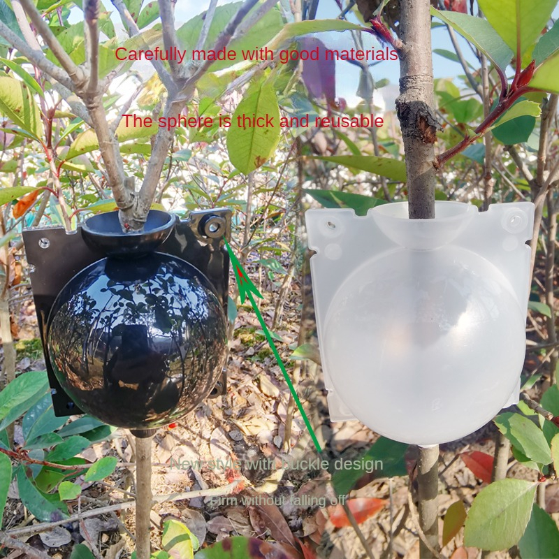 Fruit Plant Tree Rooting Ball Root Box Plastic Case Transparent Flower ...