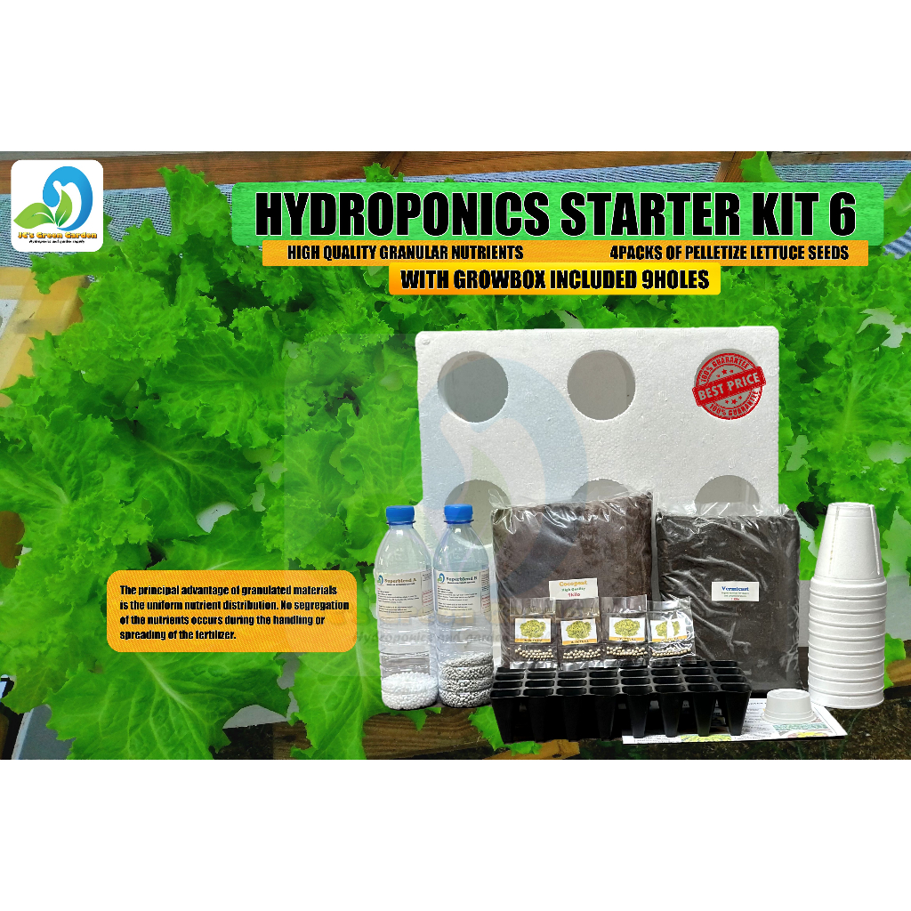 HYDROPONICS STARTER KIT 6 WITH GROWBOX/4PACKS PELLETIZE LETTUCE SEEDS