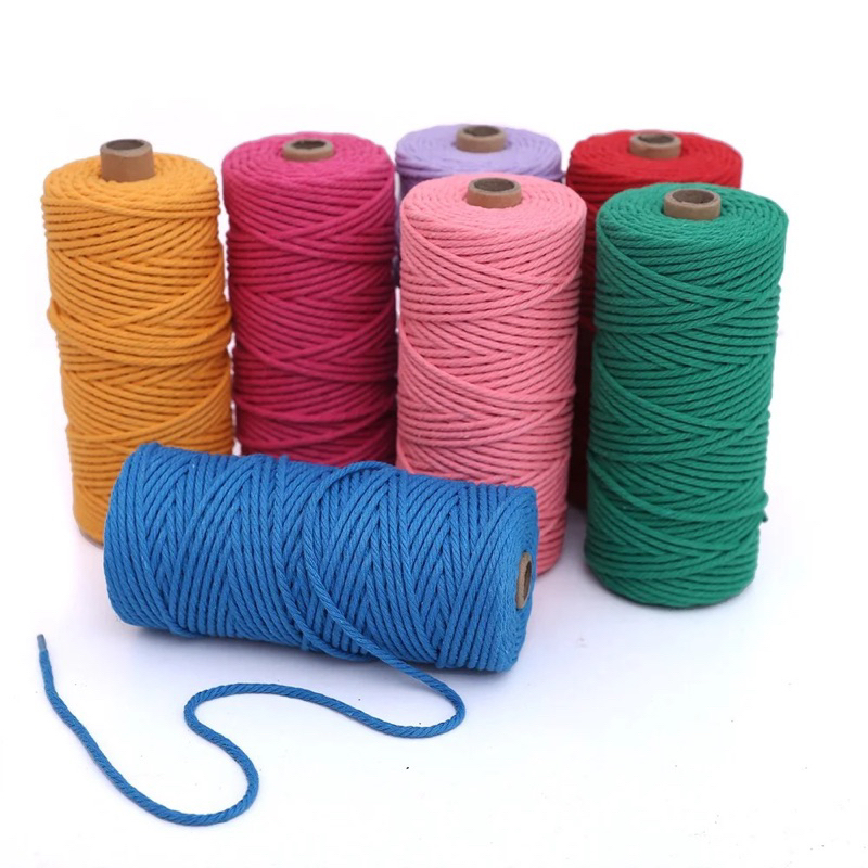 3mm (100 meter) Macrame Twisted Rope | NEUTRAL COLOR | Shopee Philippines