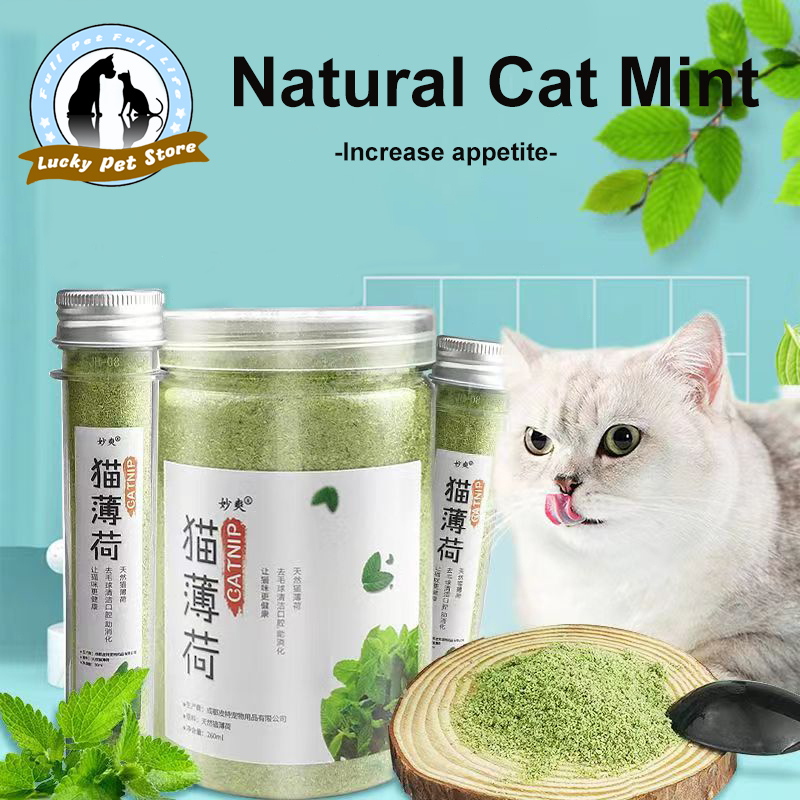 【50ml】Catnip Treat for Cats Cat Treat catnip ball and Catnip catnip