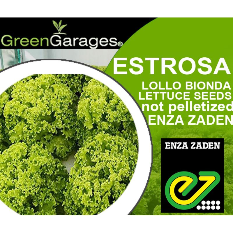Estrosa Lettuce Lollo Bionda 400500 seeds Shopee Philippines