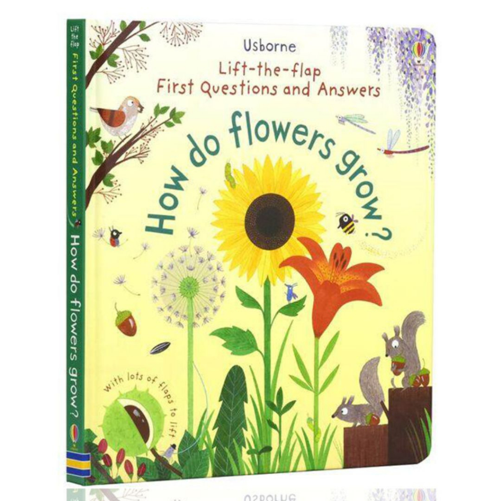 Usborne Lifttheflap First Questions and Answers HOW DO FLOWERS GROW