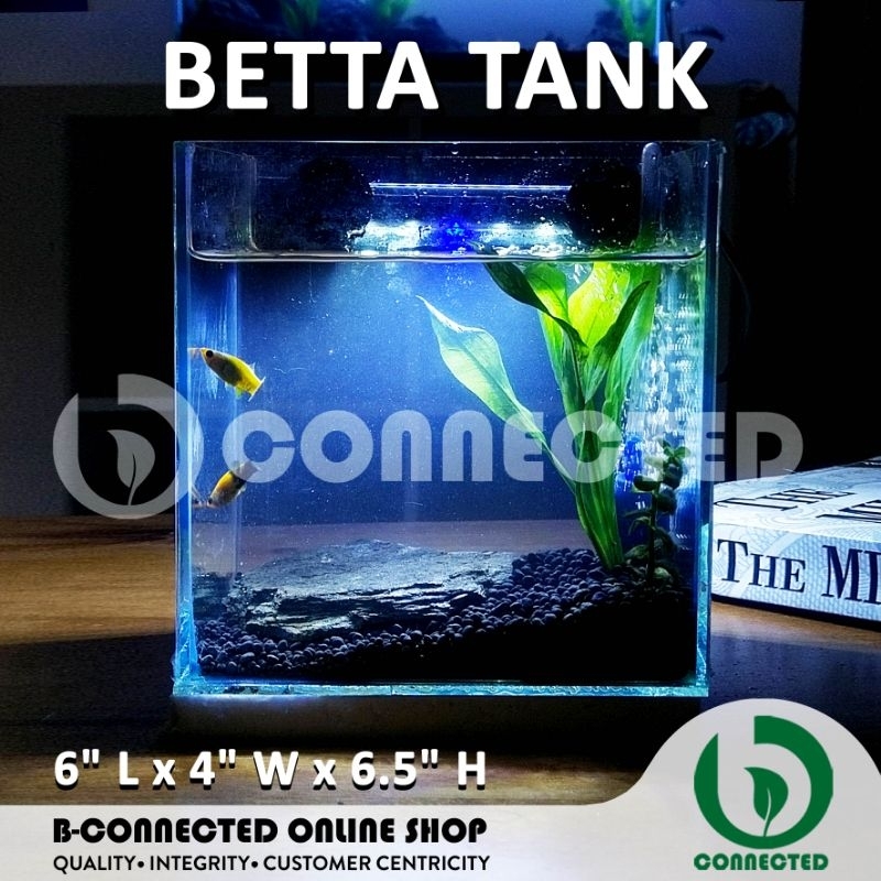 BETTA TANK - MINI AQUARIUM GLASS FISH TANK - BETTA FISH SHRIMP TANK ...