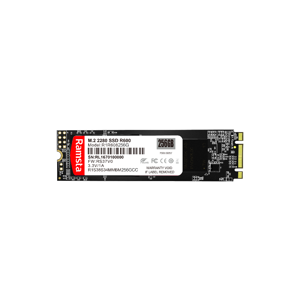 M.2 SATA SSD 256GB