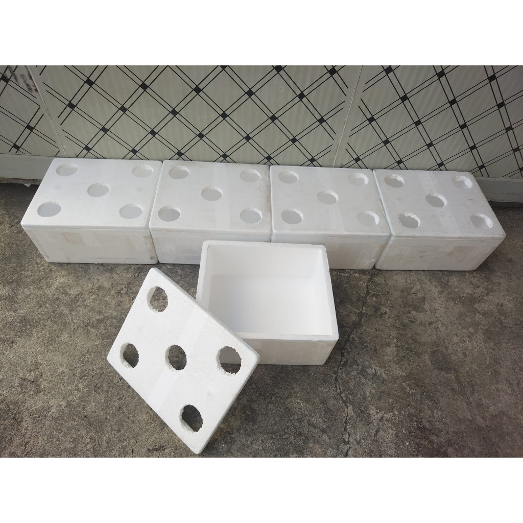 Small Hydroponic Styrofoam Box (5 holes) Shopee Philippines