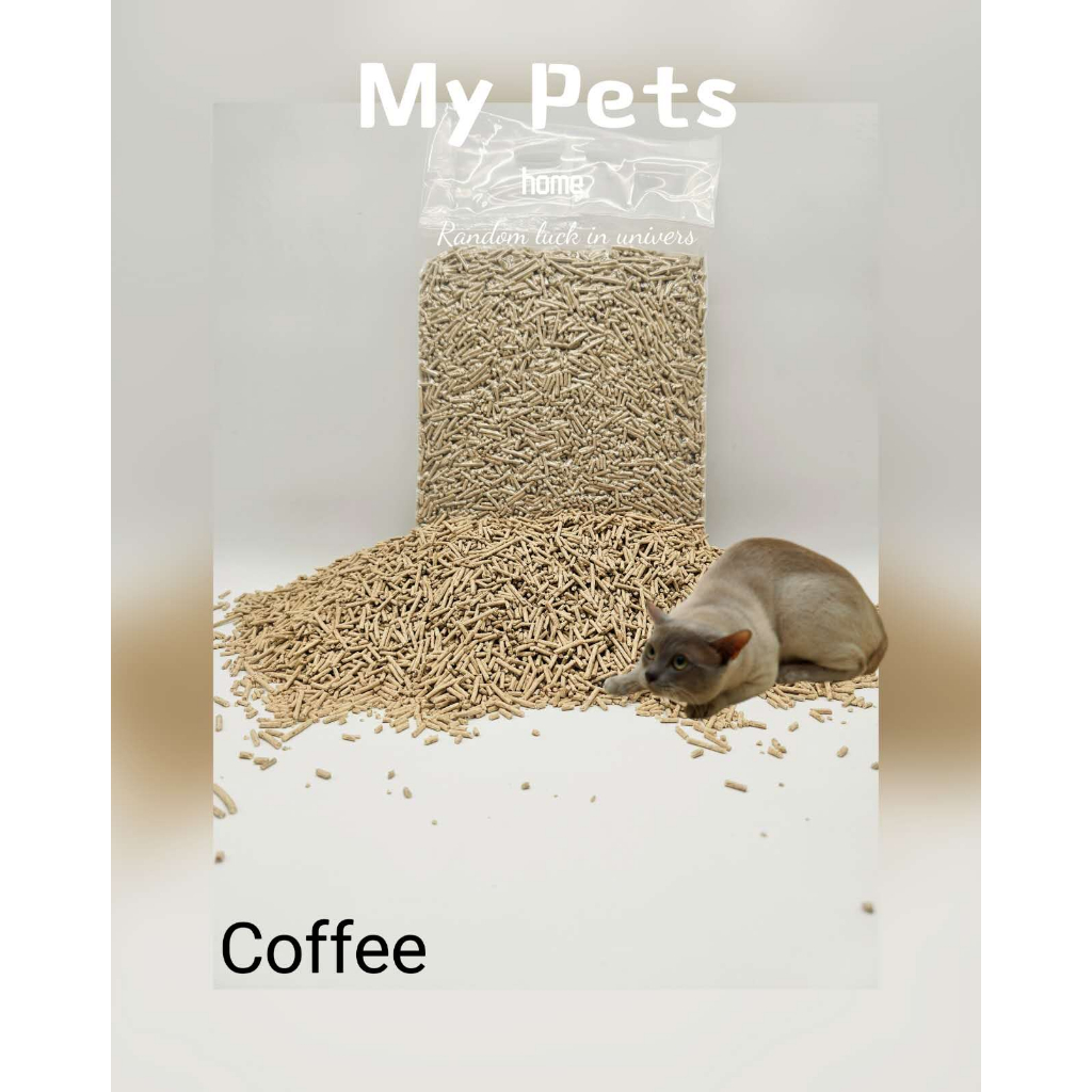 Pet at outlet home cat litter