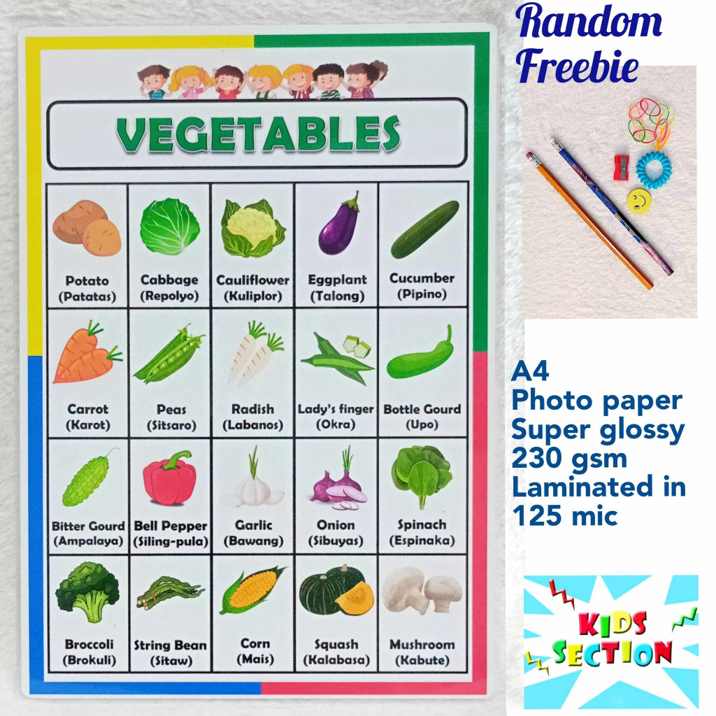 Laminated Educational Chart - Vegetables 