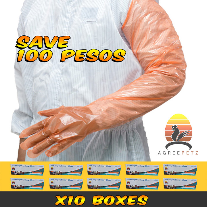 Full Arm Long Veterinary AI Gloves Transparent 10 boxes (1,000pcs