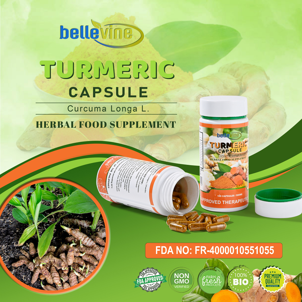 Turmeric Supplement 100 capsule x500mg (Curcuma Longa L.) | Shopee ...
