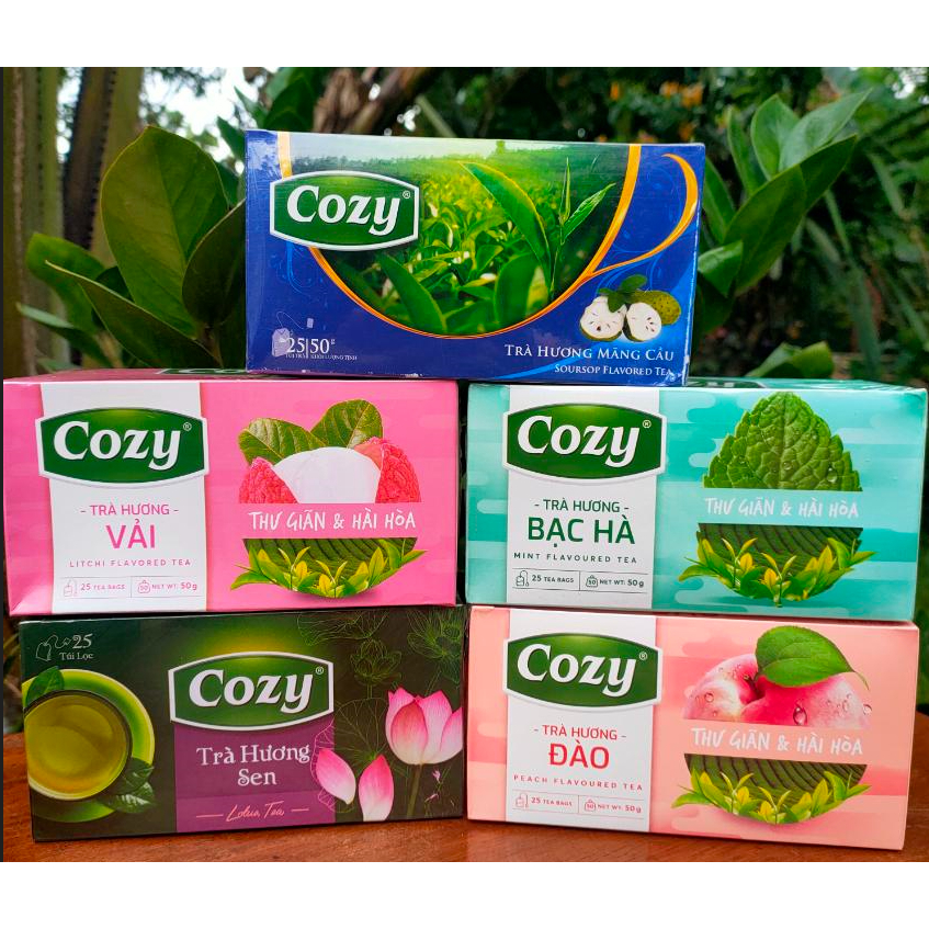 COZY TEA VIETNAM FLAVORED FAVORITE TEA (25 tea bags x 2g) Shopee