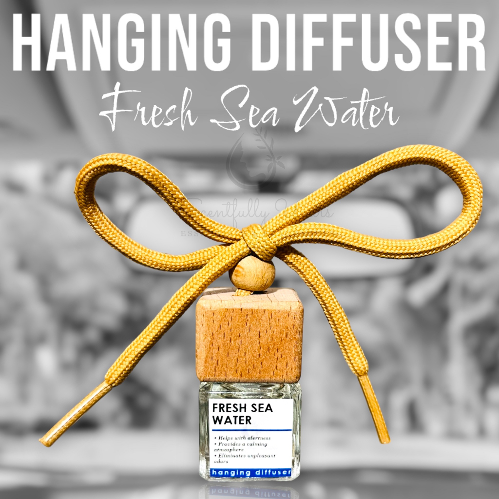 Fresh Sea Water - Hanging Diffuser (High Concentration Oil) | Shopee ...