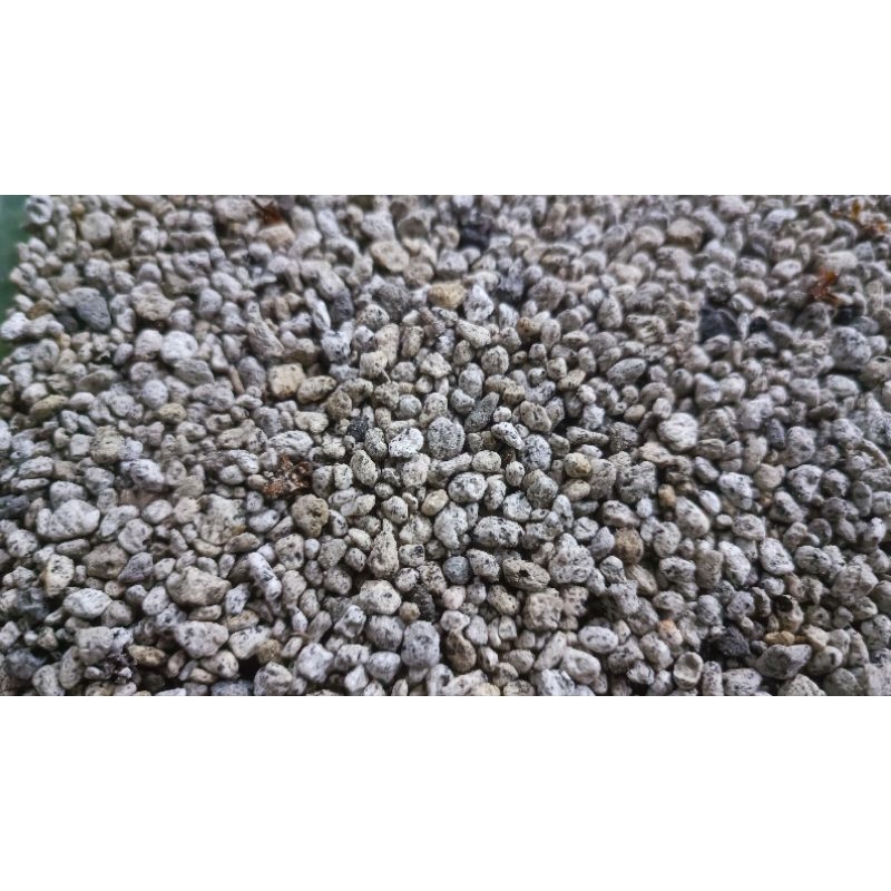 PUMICE STONE FOR TERRARIUM DRAINAGE AND AQUARIUM FILTRATION Shopee